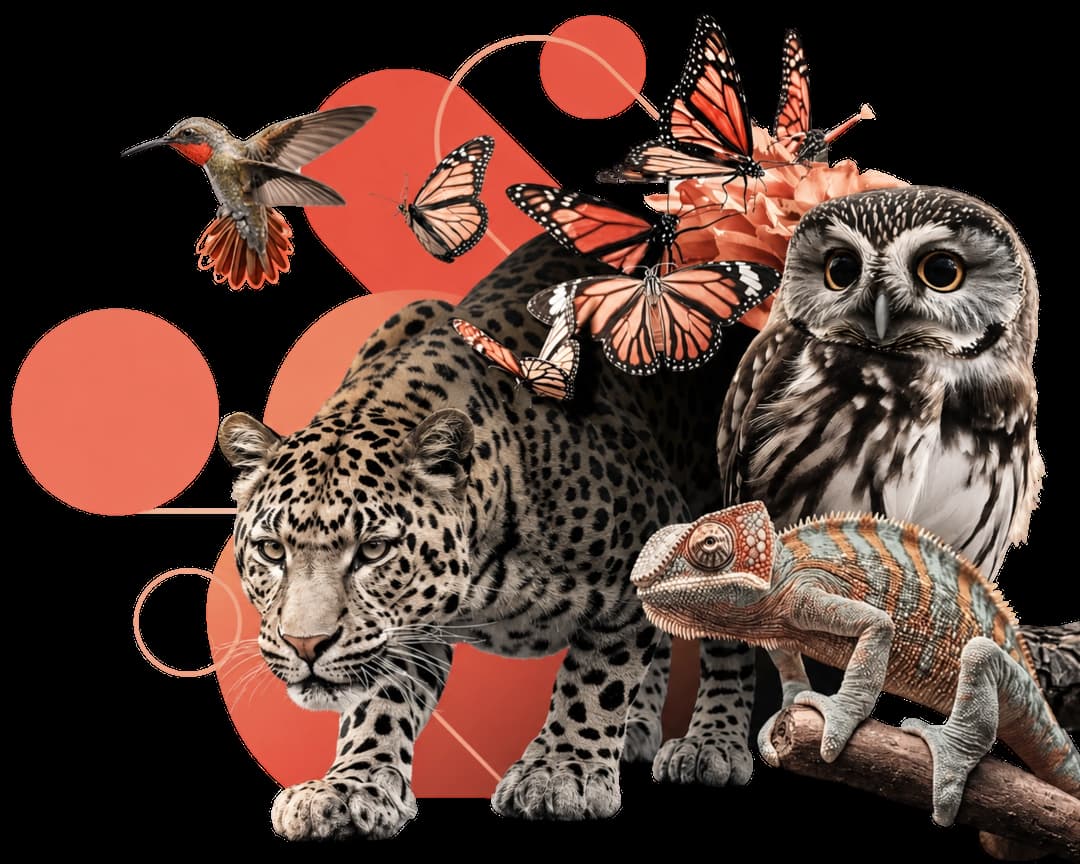 Jaguar, búho, camaleón, colibrí y mariposas con detalles coral