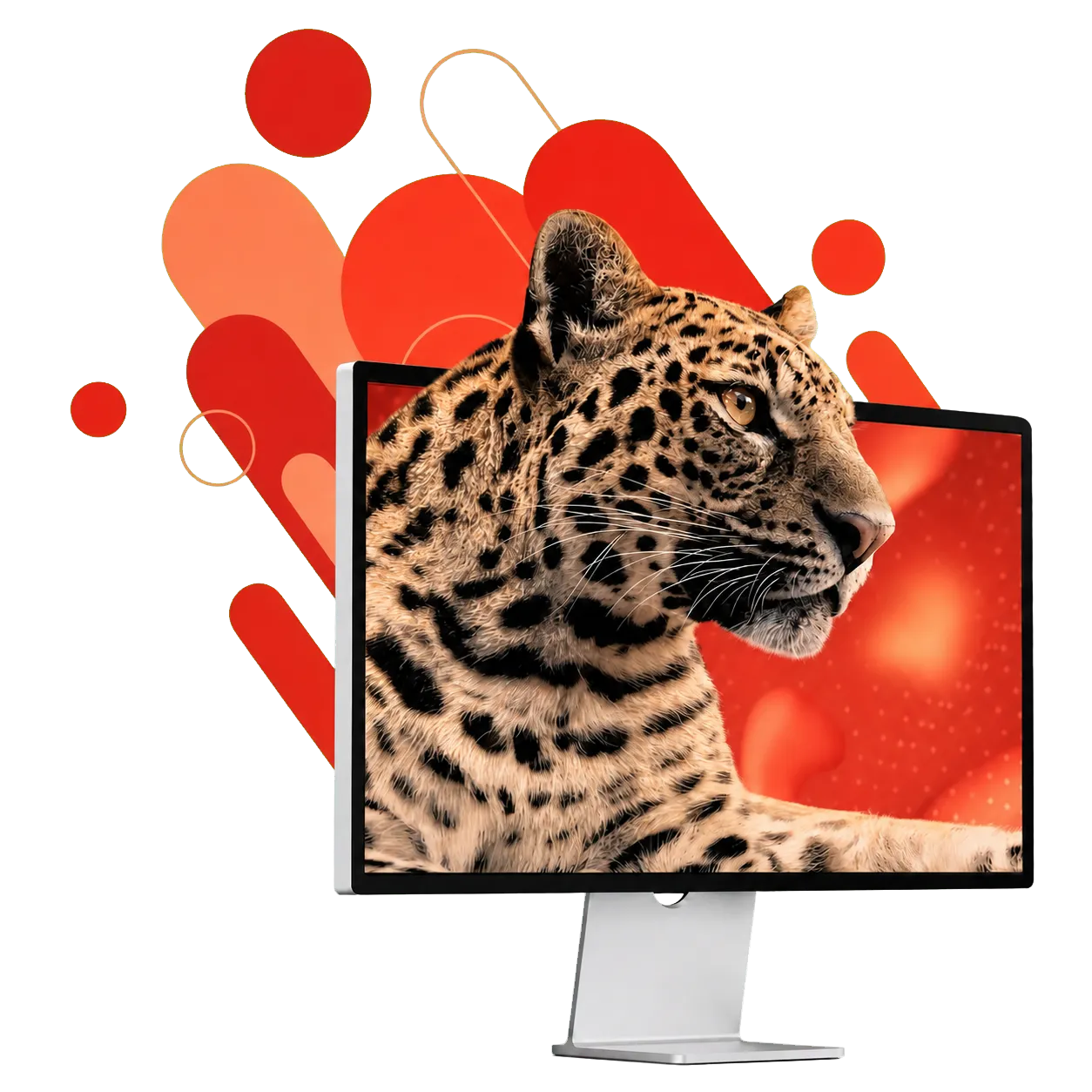Jaguar emergiendo de una pantalla, ilustración de desarrollo web