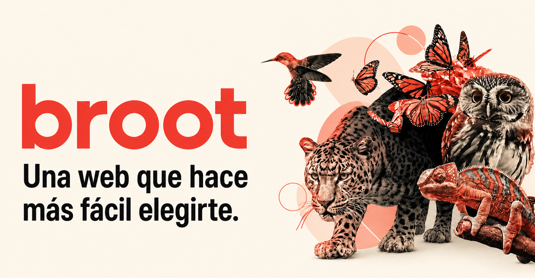 Broot, guía sobre el precio de una página web en España
